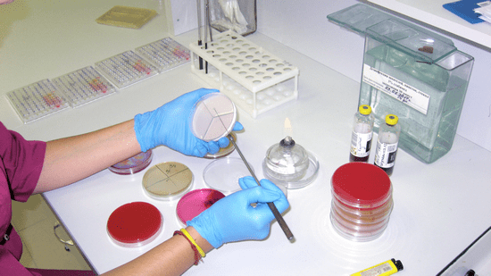 Аналізи при прохожденні медоглядів